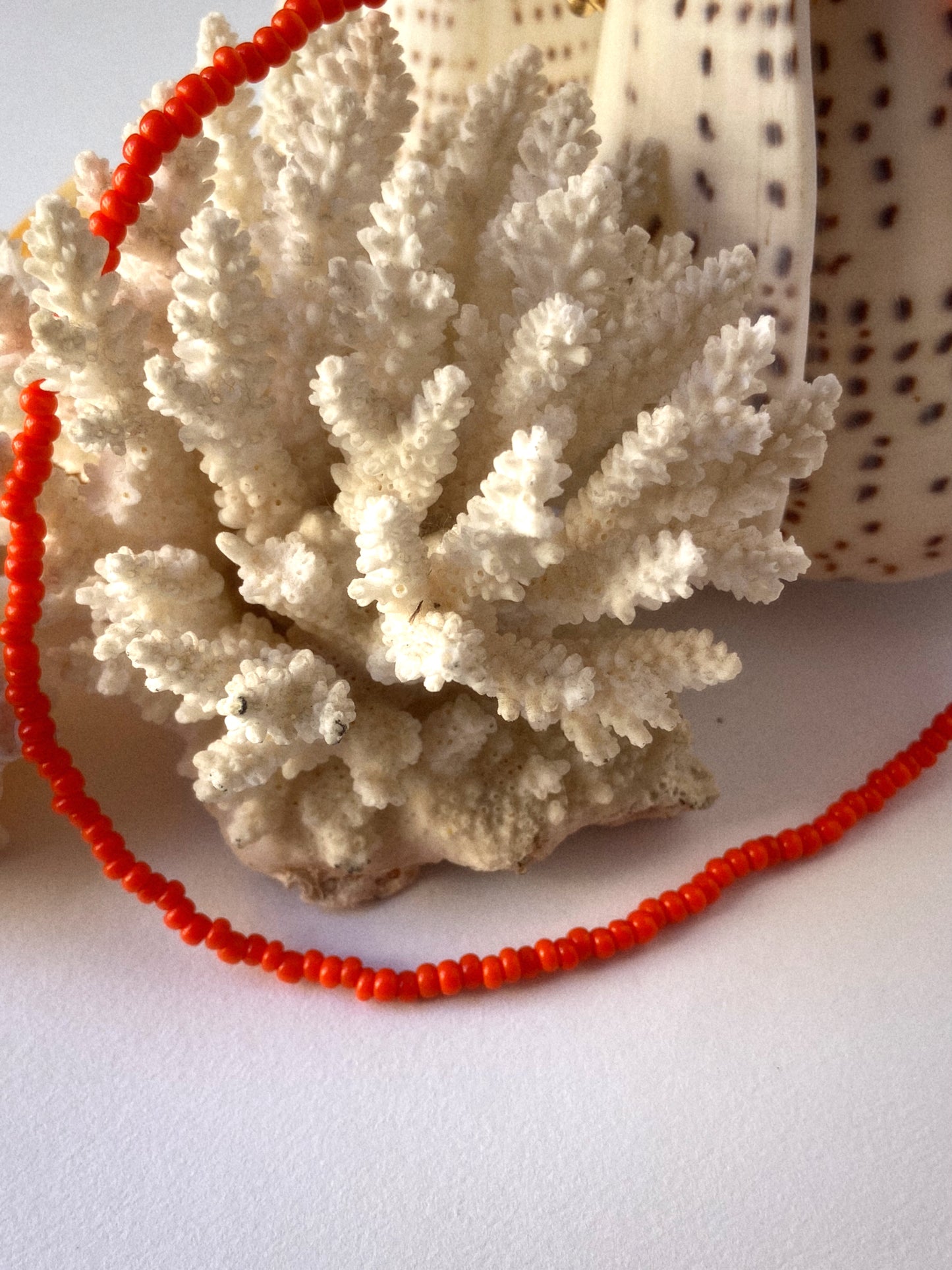 Collier Tangerine